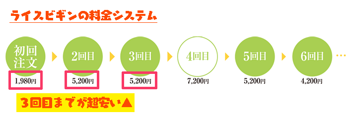 ライスビギンのお得購入