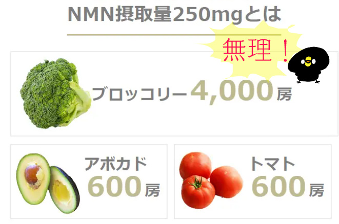 NMN量 野菜