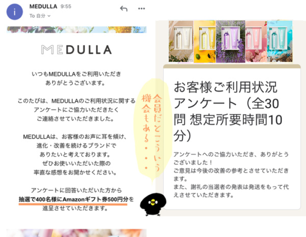 medullaアンケート